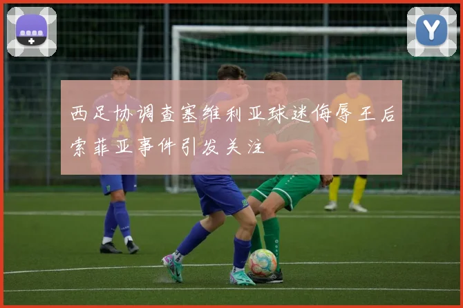 西足协调查塞维利亚球迷侮辱王后索菲亚事件引发关注