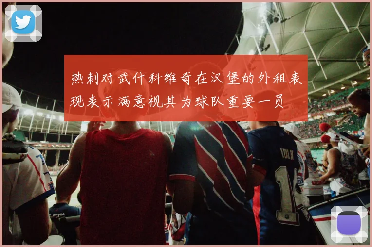 热刺对武什科维奇在汉堡的外租表现表示满意视其为球队重要一员